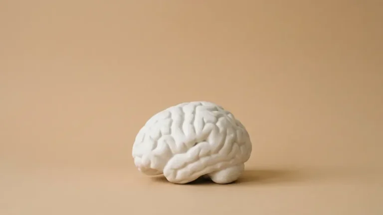 Escultura de cerebro de yeso blanco sobre fondo beige, beneficios psicológicos de vivir solo