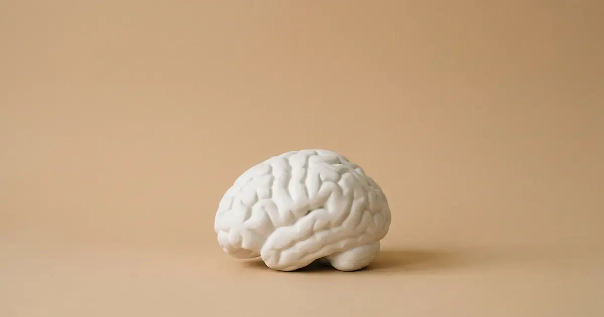 Escultura de cerebro de yeso blanco sobre fondo beige, beneficios psicológicos de vivir solo